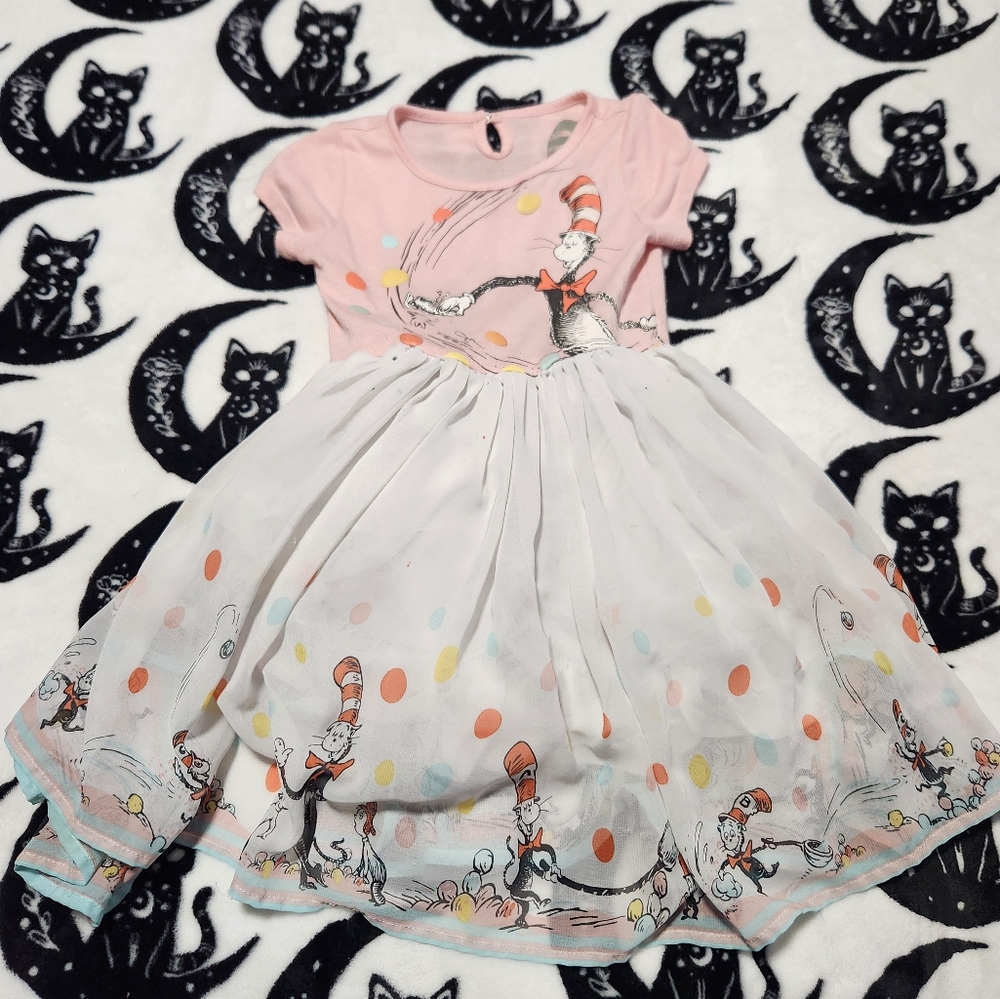 Dr Seuss Cat in the hat dress